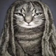 jamaicat