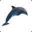 Dolphin