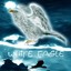white_eagle(FIN)