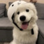 眯一会儿