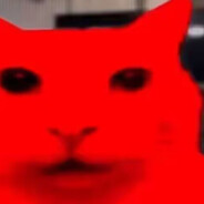 哈基米撕咬数据线