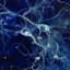 22 brain cell in your brainnnn