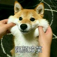 这游戏只适合看不能玩