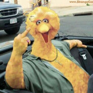 Big Bird - steam id 76561199387186067