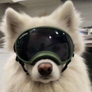 一月对我好一点