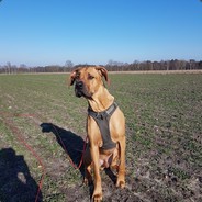 RealRose - steam id 76561197960497188