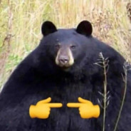 SRY,BUT I KILLED YOU