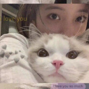 漫山樱花独缺你