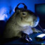 Capybara_Gaming
