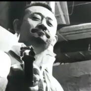 鹅城最強张麻子です