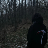 not human(животное)