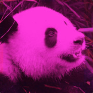 GeorgFK avatar