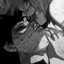 insides_coop