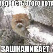 AURA - steam id 76561199842343133