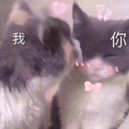 钟情是只小耗子鸭