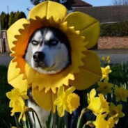 晦气BOY(ﾉಥ益ಥ)