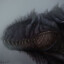 | Night Giganotosaurus |