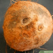 CoconutS - steam id 76561197964403644