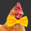 Chicken Tie