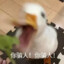 Egoose