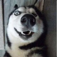 youtube.com/@HVH_cumboy