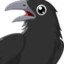 Crazy Crow