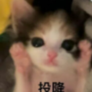 蔡徐坤大战鸡你太美