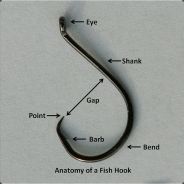 †&lt;CC&gt;&lt; Fish Hook