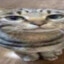 MechakomandorX