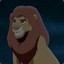 Simba1339