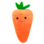 CarrotTopKid