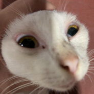 KayaRoti's avatar