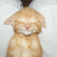 KICKFLIP - steam id 76561198942977796