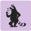 Wild Raccon