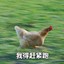 香蕉道对不过壮壮妈