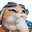 Jetpack Cat