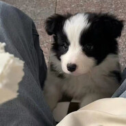 高手总是沉默寡言