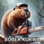 boberkurwa