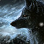 Mihai_moon