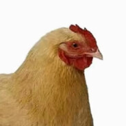 不吃免费的苕皮