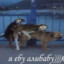 Писькогрыз
