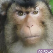 Loyd12 avatar