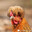 Thel Vagney