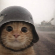 Мама кошки Артема