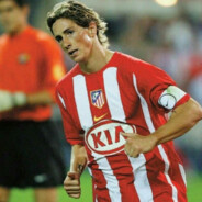 fernando torres