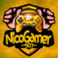 NicoGamer507