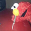 Elmo