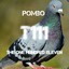 Pombo