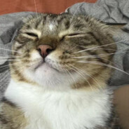 螺蛳粉加辣谢谢