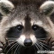 ♛✵$_Злой Енот_$♛